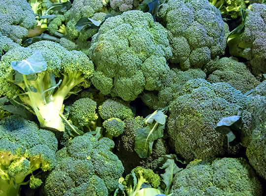 broccoli