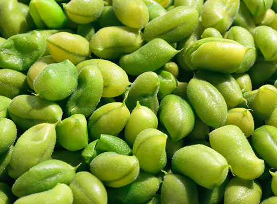 edamame