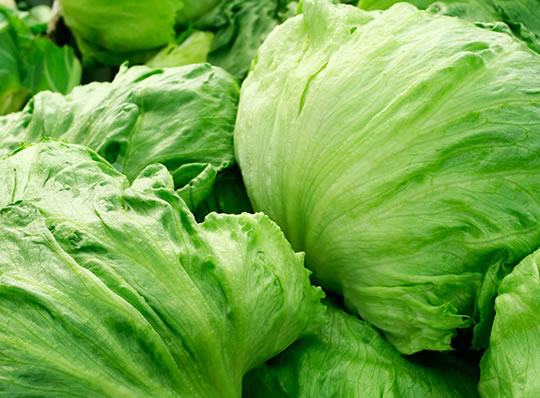 insalata-iceberg