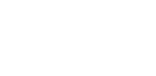 logo-raytec-white