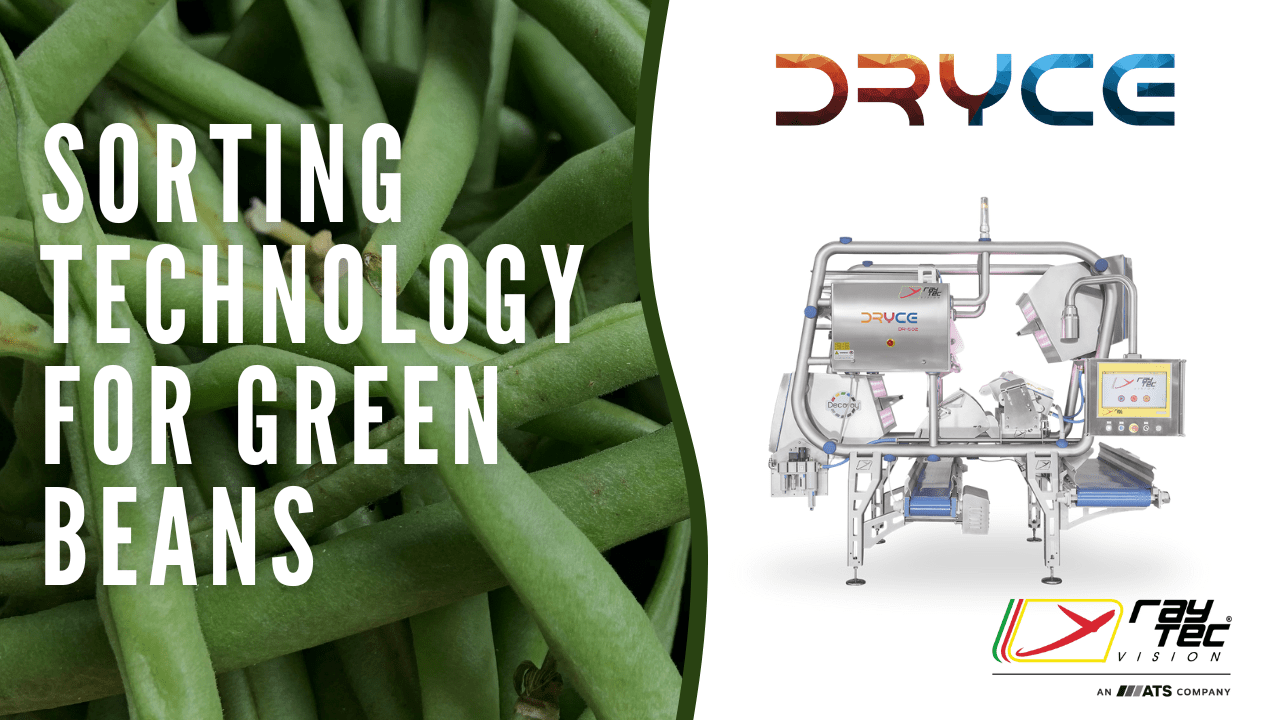 Dryce : the optical sorter for frozen and dried by Raytec Vision