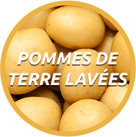 Pommes de terre lavées