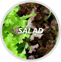salad