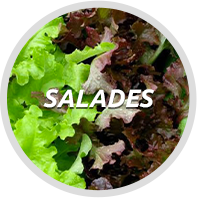 salades