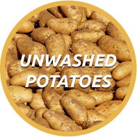 unwashed potatoes
