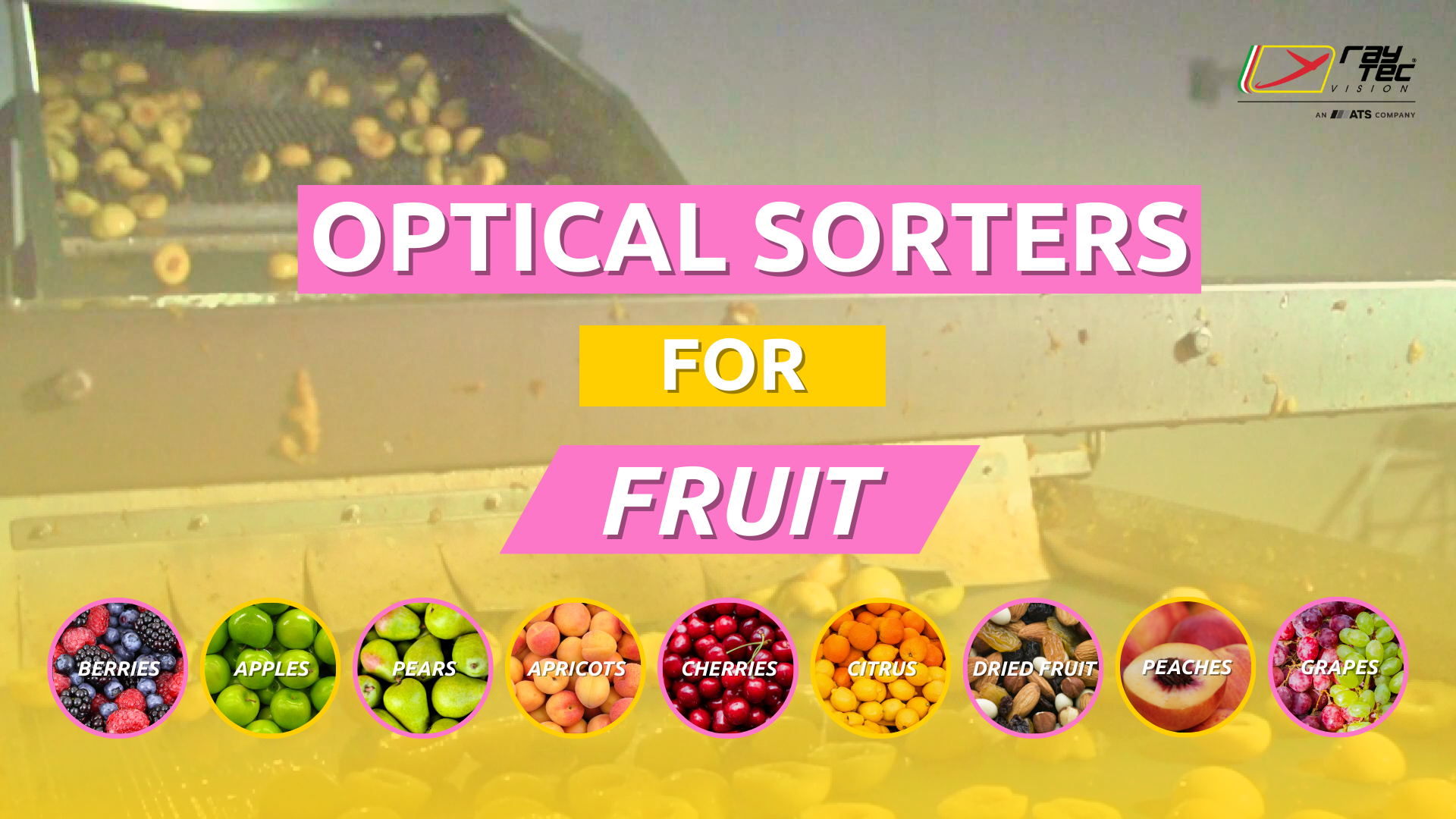 Watch the Raytec Vision fruit sorting playlist on YouTube