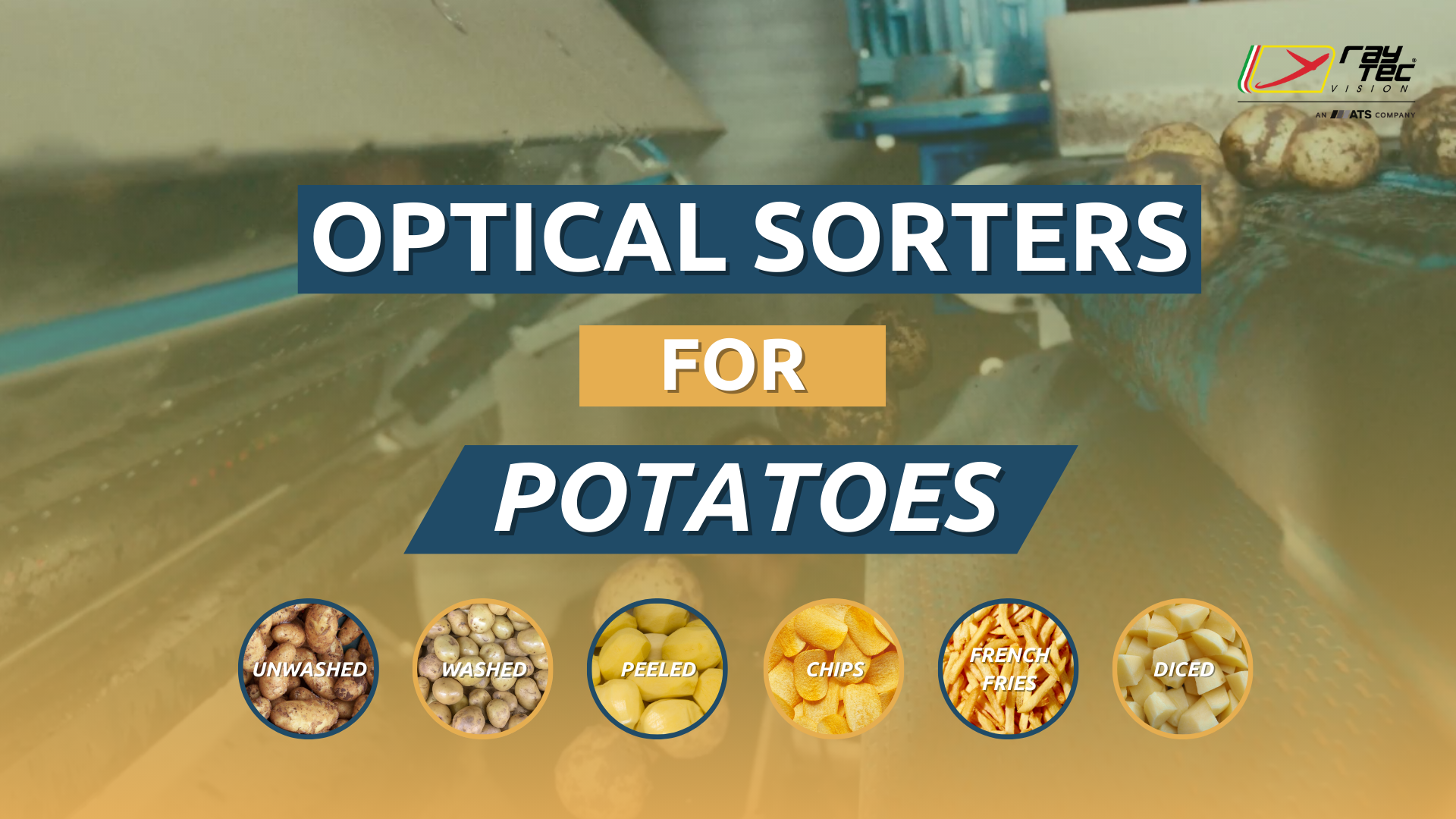 Watch the Raytec Vision potato sorting playlist on YouTube