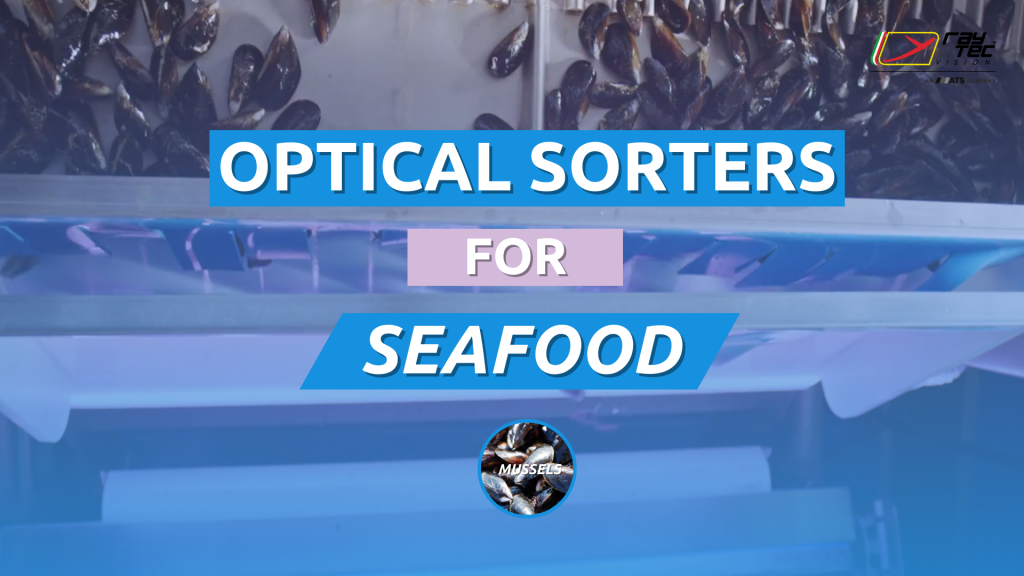 Thumbnail playlist youtube for seafood