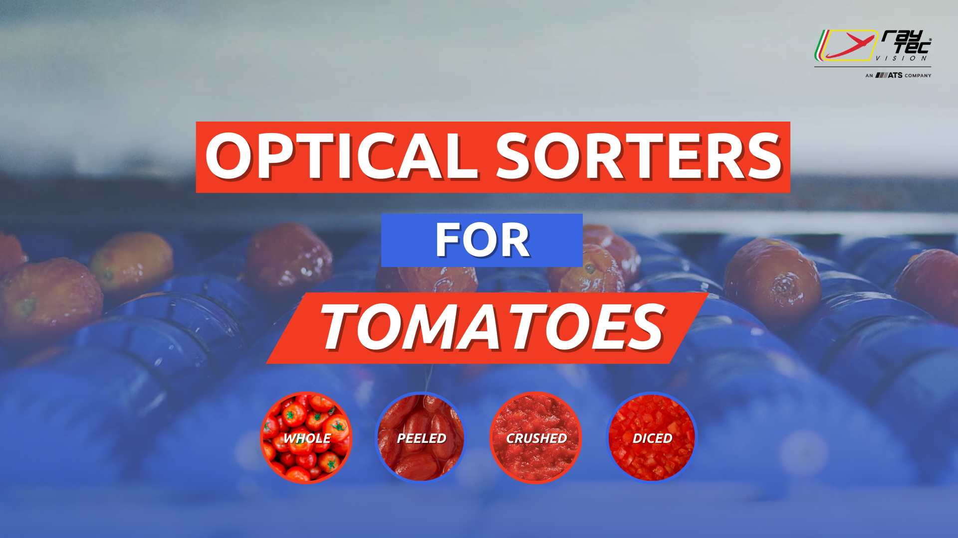 Watch the Raytec Vision tomato sorting playlist on YouTube