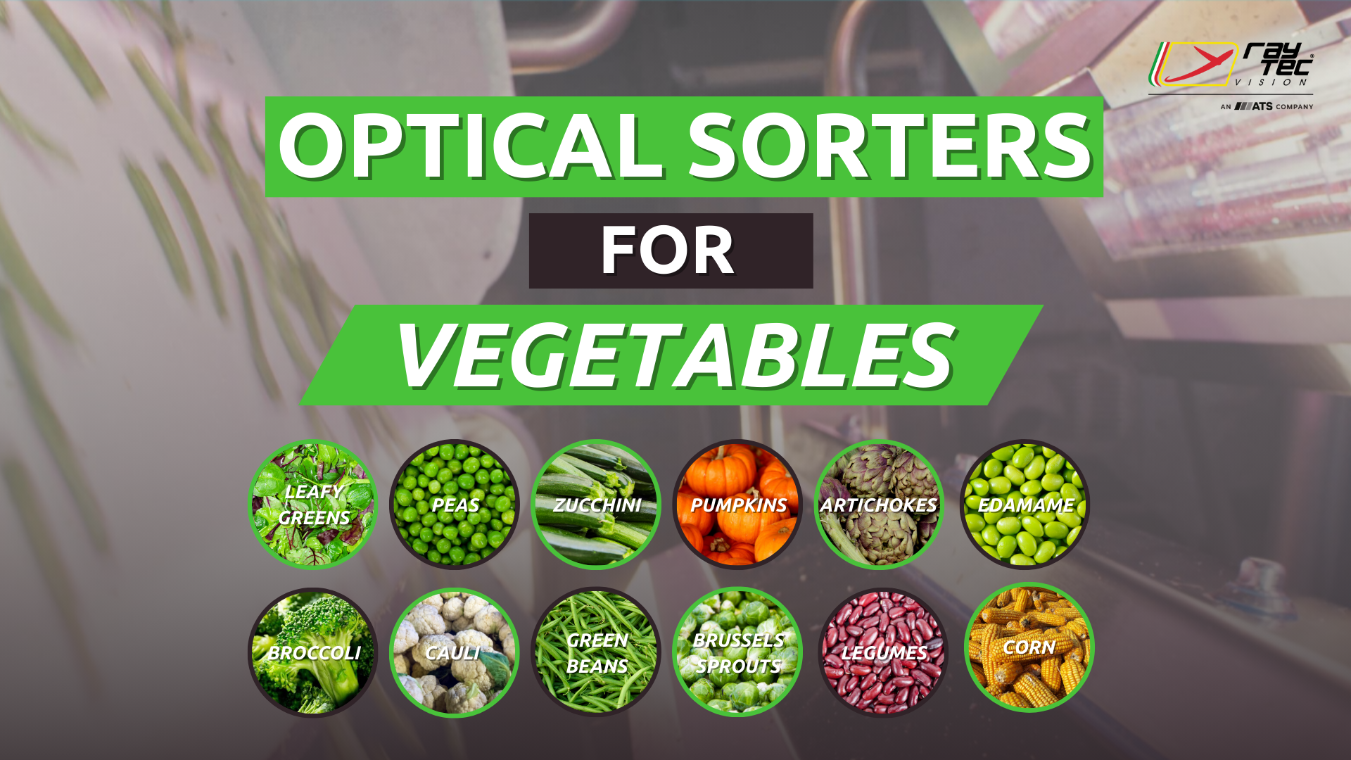 Watch the Raytec Vision vegetable sorting playlist on YouTube