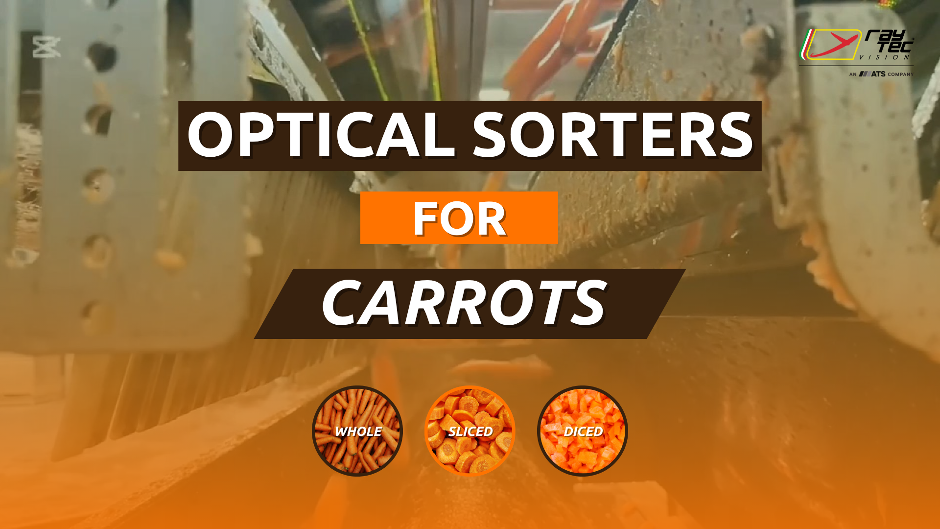 Watch the Raytec Vision carrot sorting playlist on YouTube