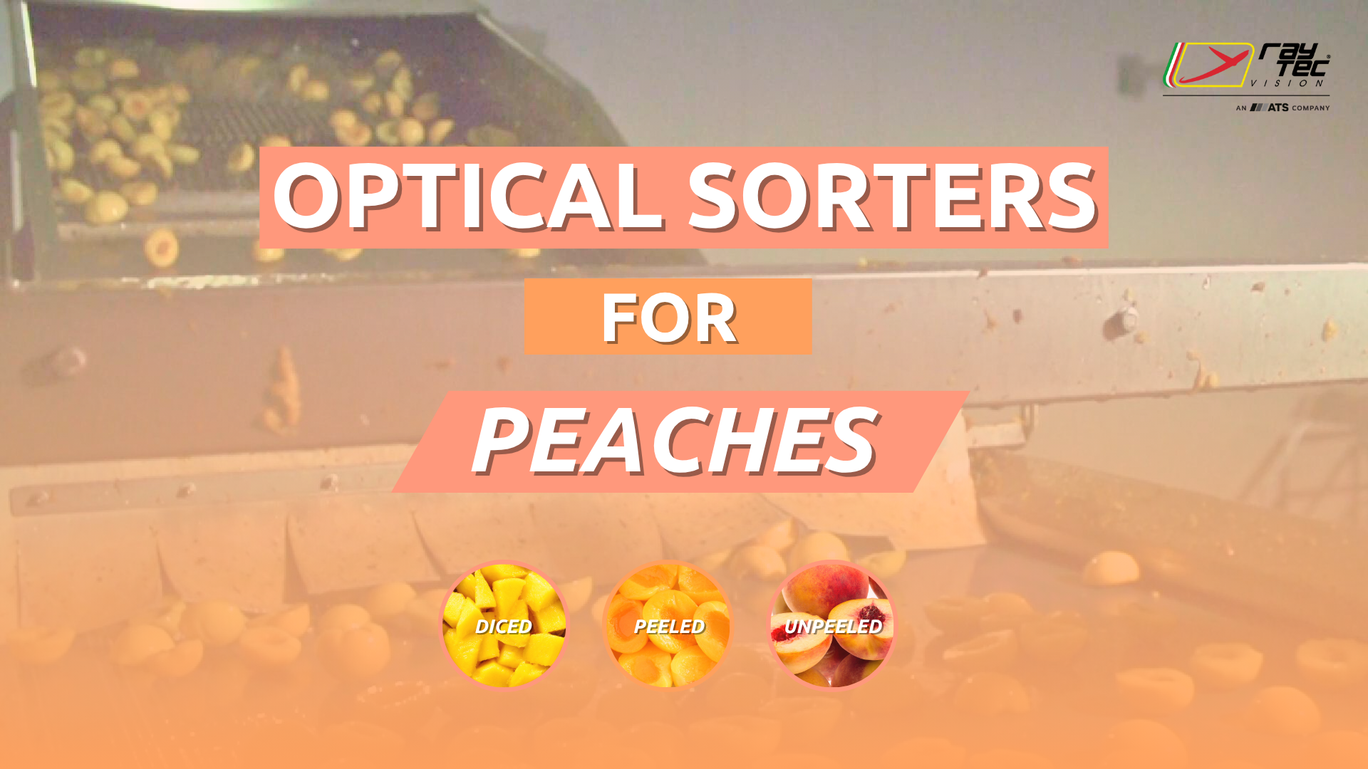 Watch the Raytec Vision peach sorting playlist on YouTube