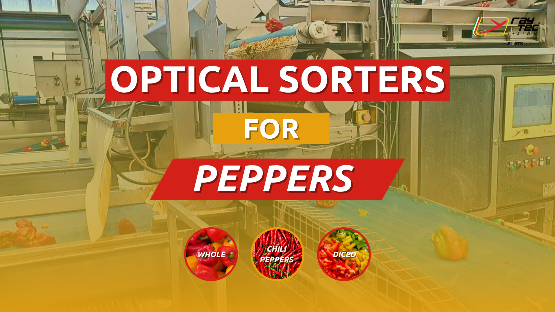 Watch the Raytec Vision pepper sorting playlist on YouTube