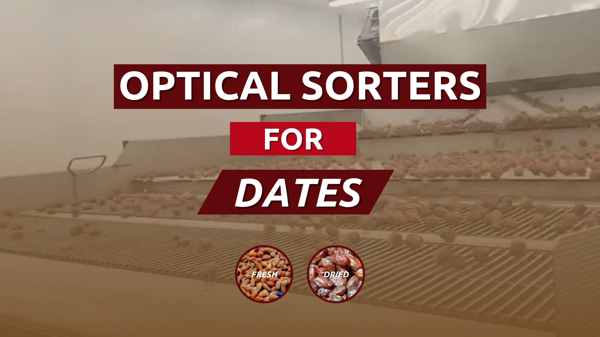 Watch the Raytec Vision date sorting playlist on YouTube