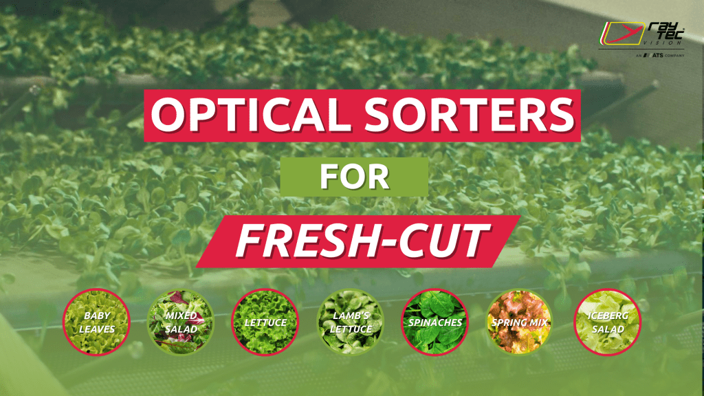 Thumbnail playlist youtube for fresh-cut