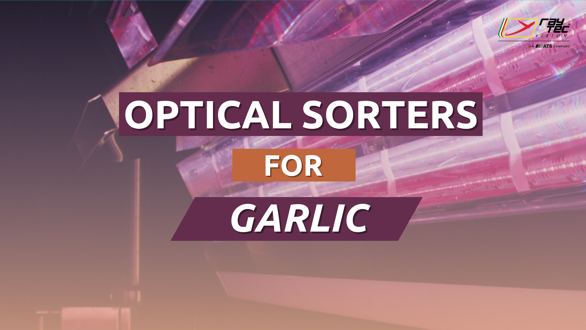 Watch the Raytec Vision garlic sorting playlist on YouTube