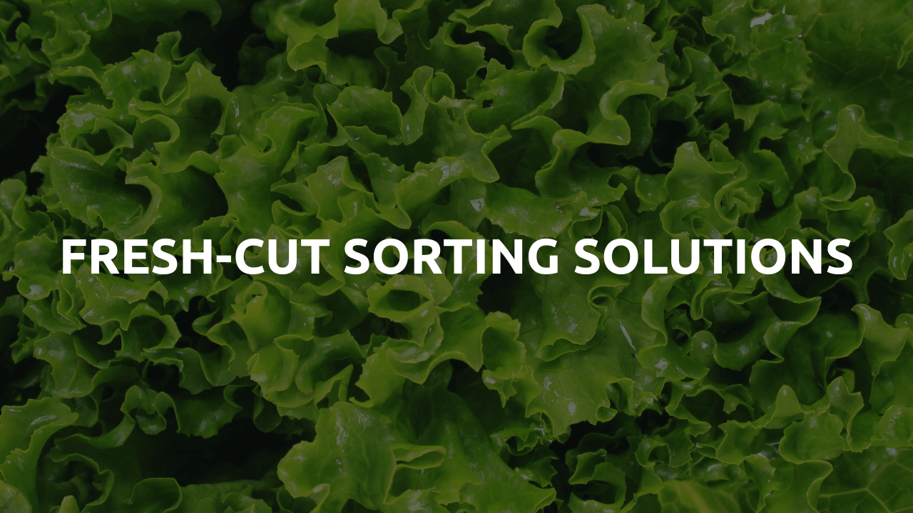 FRESH-CUT PROCESSING