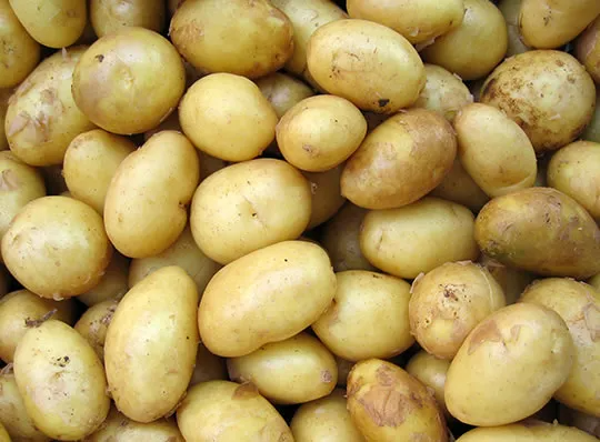 Potatoes