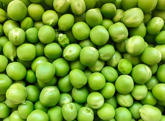 Vegetables