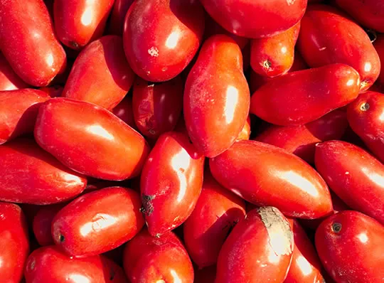 Tomatoes